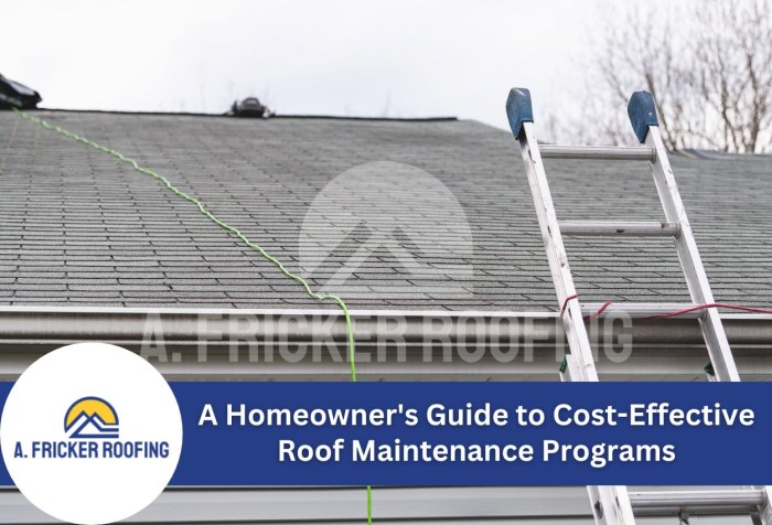 A Homeowner's Guide to Cost-Effective Roof Maintenance Programs