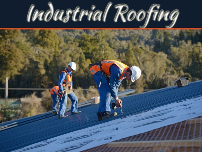 7 Industrial Roofing Services To Maintain Your Building